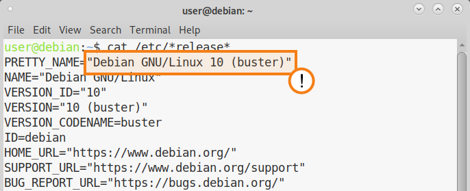 /blog/knowledge-base/media/trueconf-linux/debian-10-info/en.png