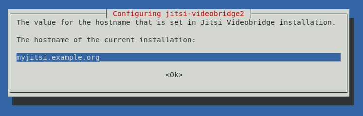 How to install Jitsi Meet video conferencing server 5
