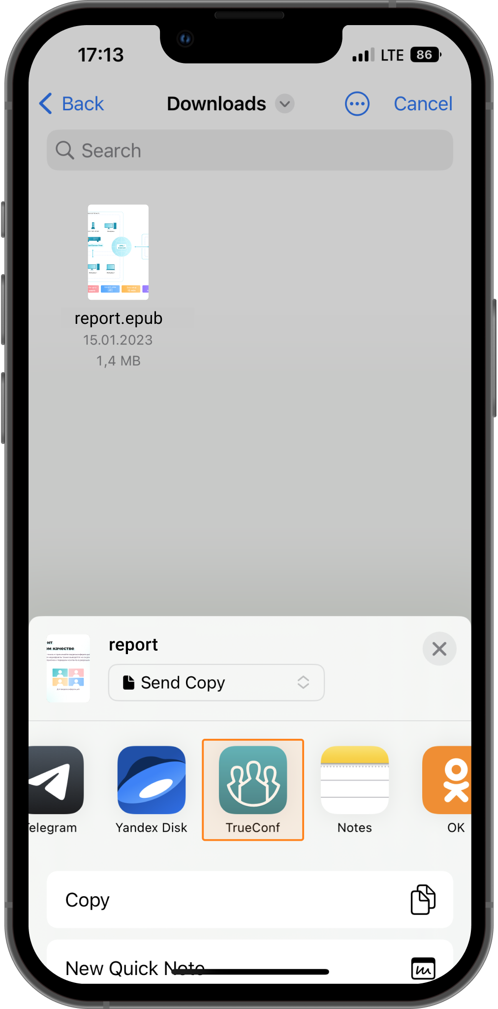 TrueConf 3.4 for iOS: File sharing and audio-only mode 8