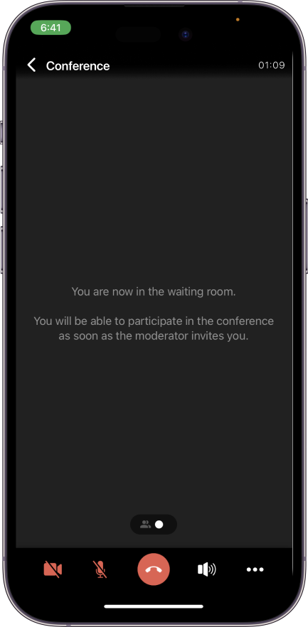TrueConf 3.5 for iOS: Smart layouts and support for waiting rooms 5