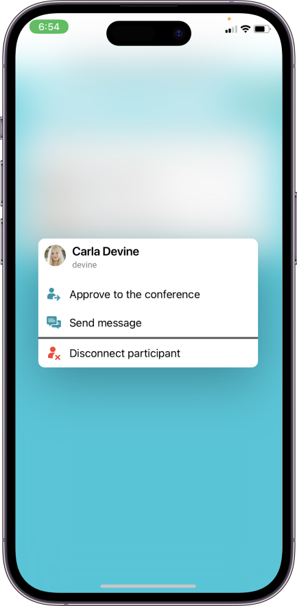 TrueConf 3.5 for iOS: Smart layouts and support for waiting rooms 7