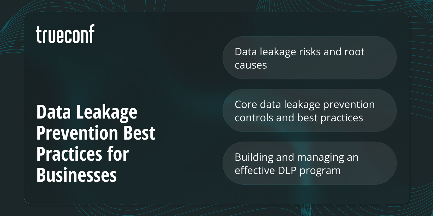 Data Leakage Prevention Best Practices for Businesses