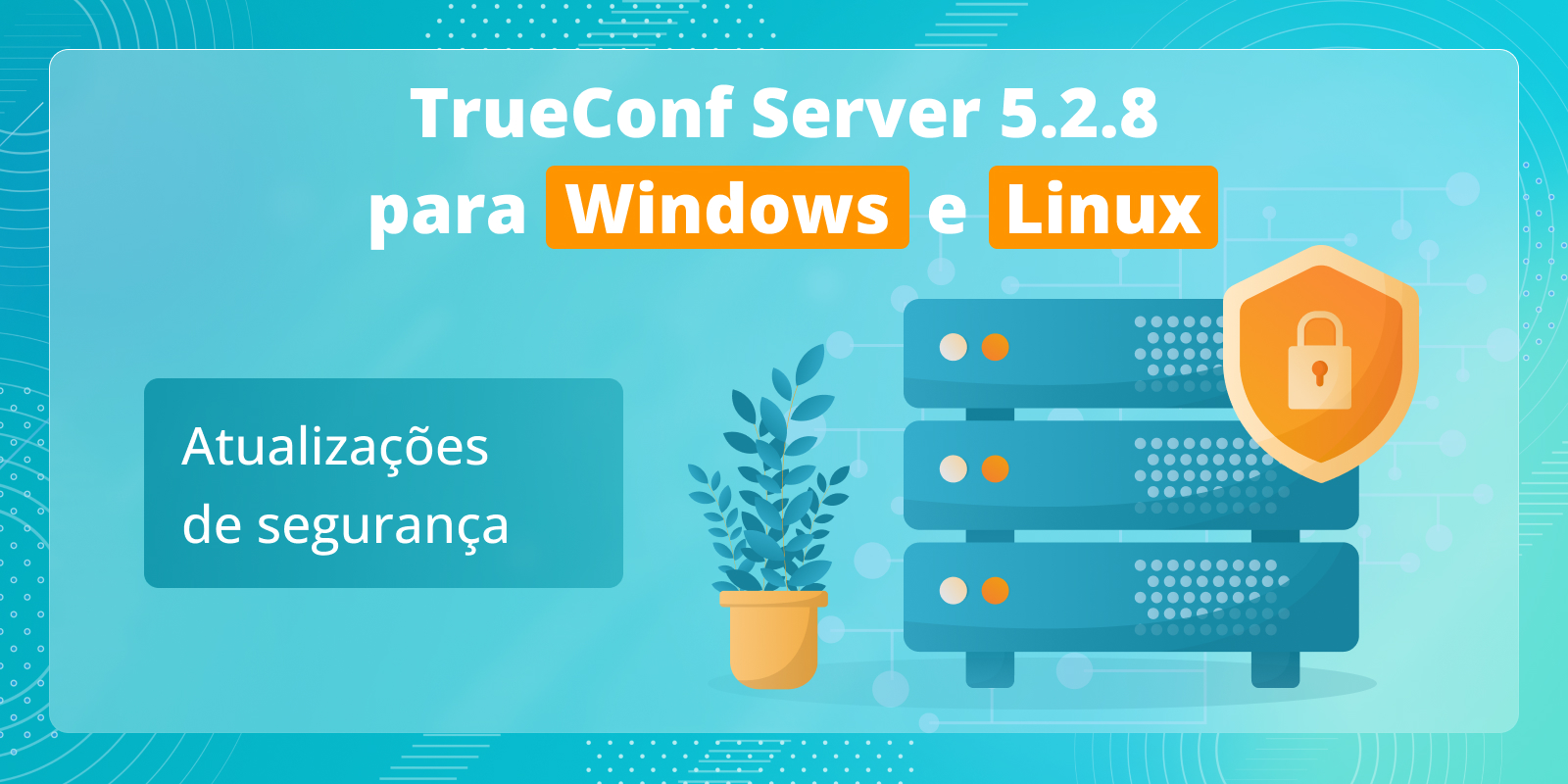 TrueConf Server 5.2.8: atualizações de segurança 6