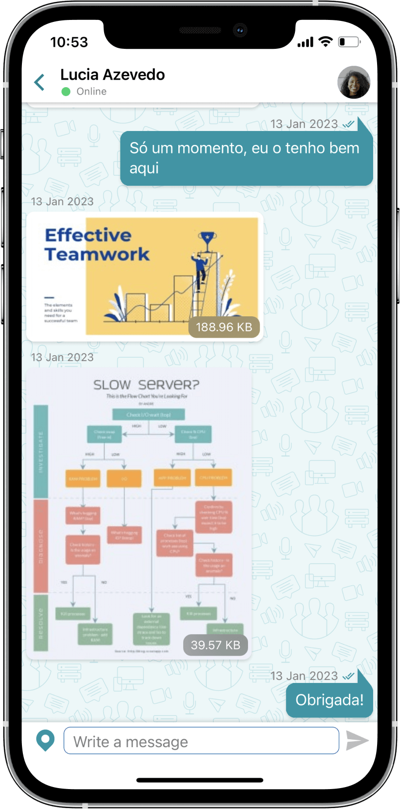 TrueConf 3.3 para iOS: nova interface do usuário, modo de reunião inteligente, acesso offline a chats, contatos e histórico de chamadas 14