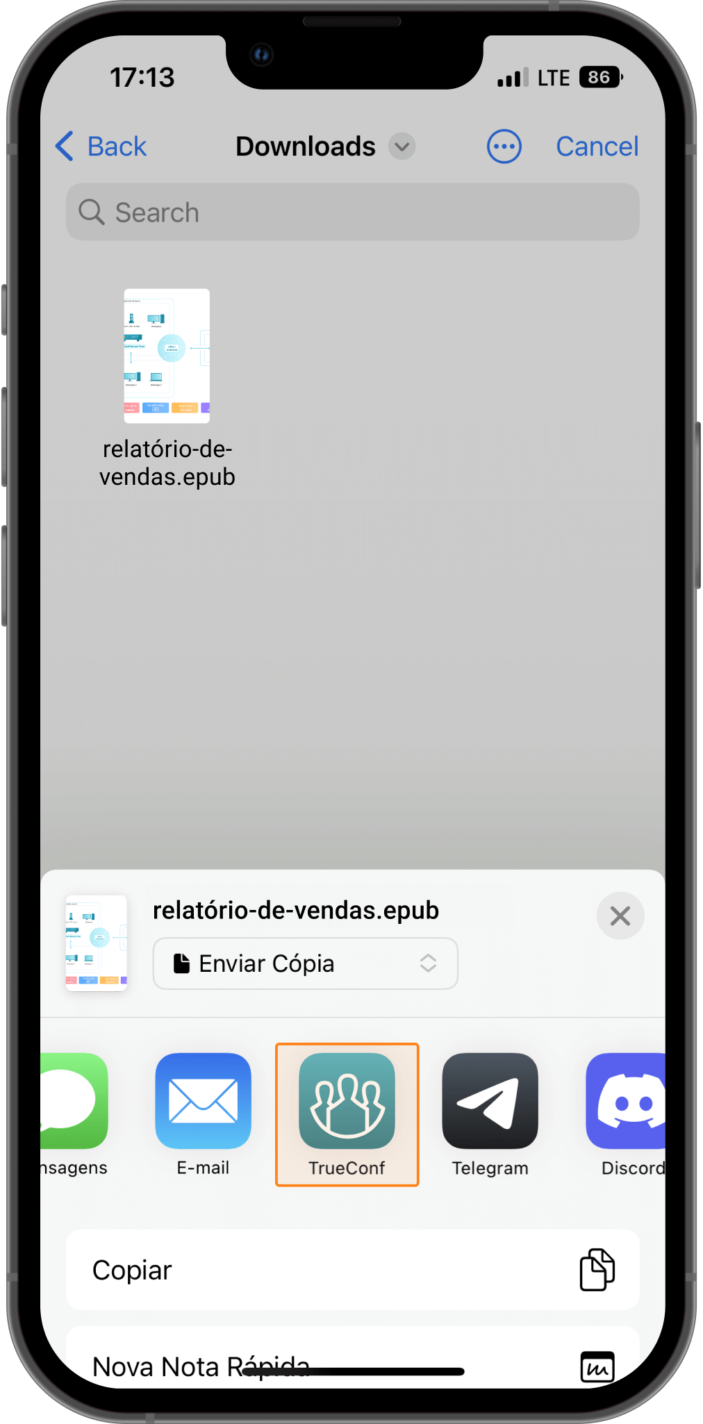 TrueConf 3.4 para iOS: compartilhamento de arquivos e modo somente áudio 8