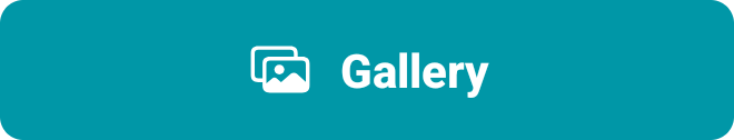 /docs/client-android/media/gallery_icon/en.png