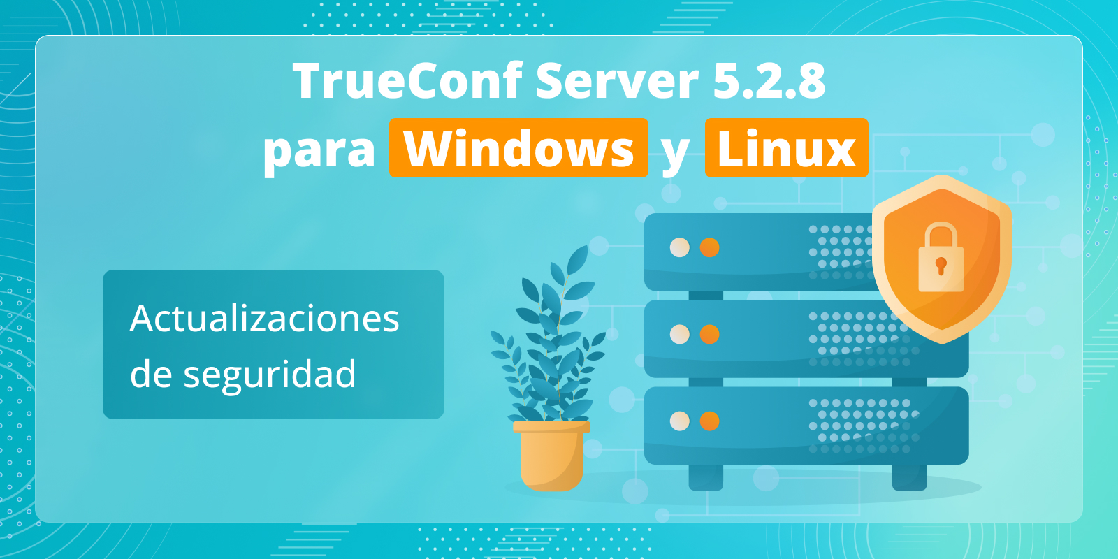 TrueConf Server 5.2.8: Actualizaciones de seguridad 3