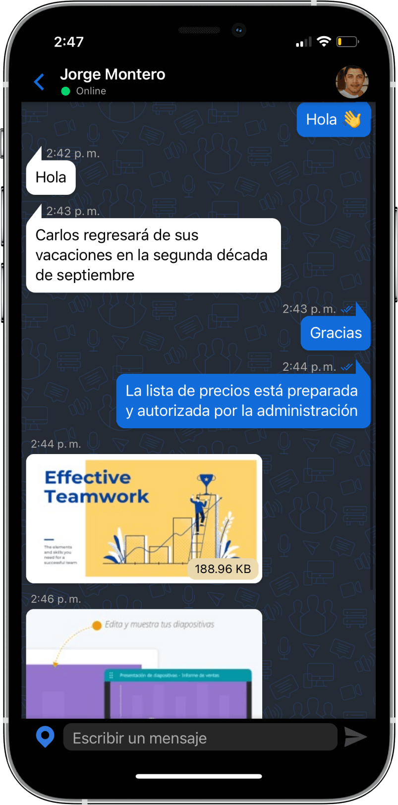 TrueConf 3.3 para iOS: nueva interfaz de usuario, modo de reunión inteligente, acceso sin conexión a chats, contactos e historial de llamadas 13