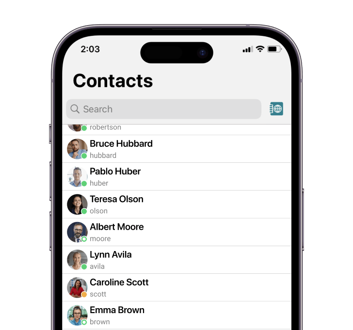 Não apenas uma lista de contatos no aplicativo TrueConf para iOS