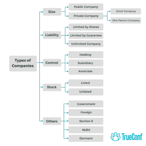 Tipos de empresas na Índia